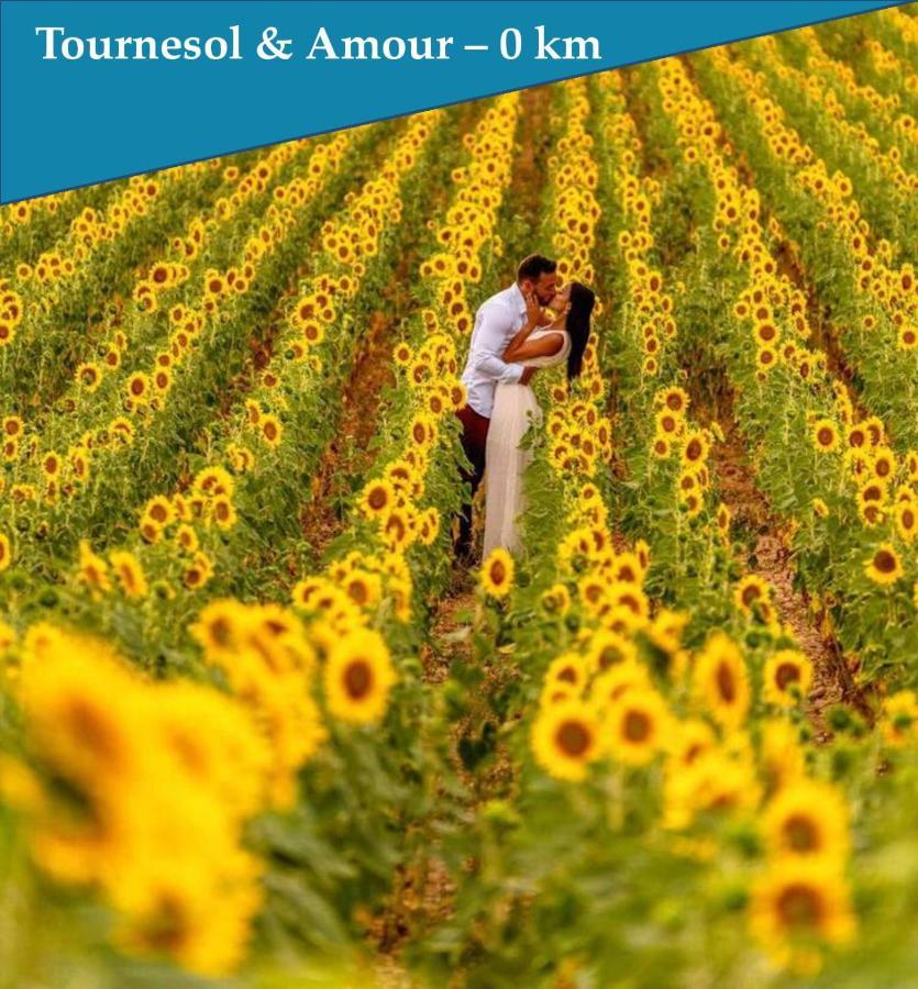 Les Bastidons De L'Isle - Le Saint-Julien - 3 Etoiles别墅 外观 照片